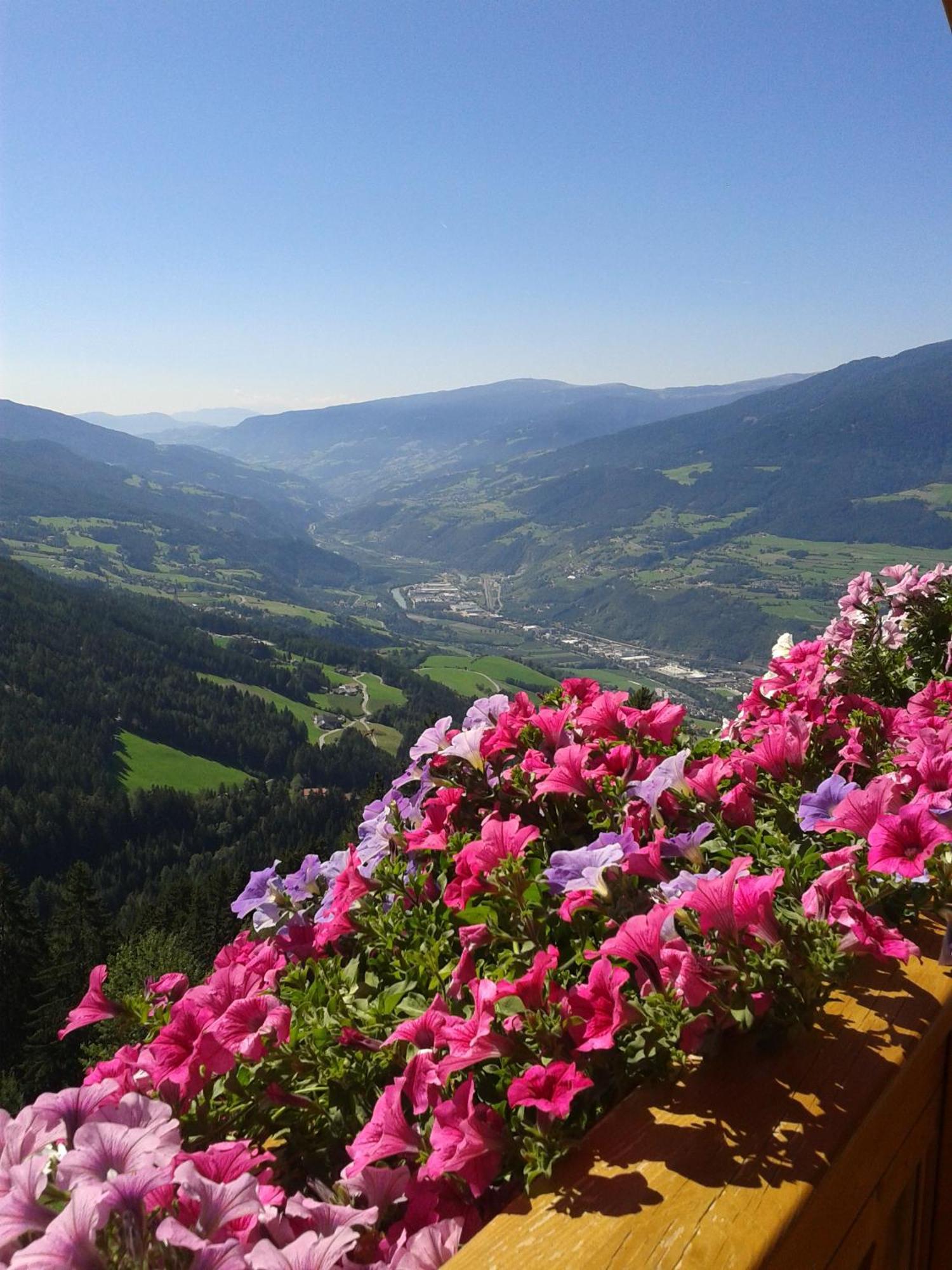 Kaserhof Wandern- Alleinlage - Ruhig- Top Aussicht Bressanone Eksteriør billede